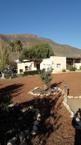 Фотография гостевого дома Yellow House Prince Albert