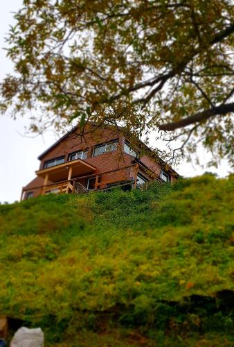 Фотография гостевого дома Территория лосося