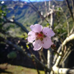 Фотография гостевого дома Gite etape chez Paule et jo