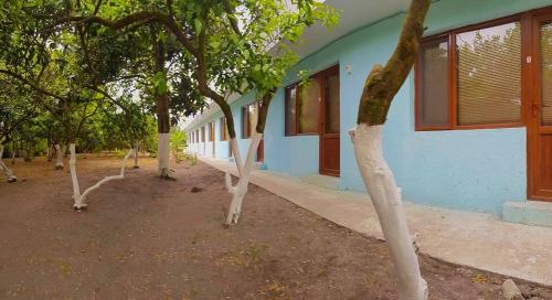 Фотография гостевого дома Pusa's House