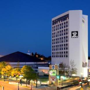 Фотографии гостиницы 
            The Hotel Hot Springs