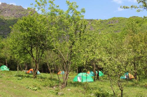 Фотография кемпинга City Sedvi