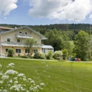 Фотографии гостевого дома 
            Landgasthof Hotel Zum Hirschenstein, Pension Garni