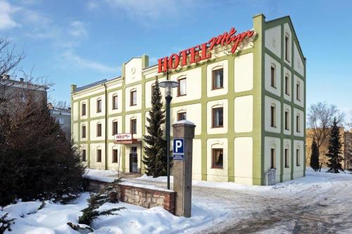 Фотографии гостиницы 
            Hotel Młyn