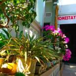 Фотография мини отеля HOMESTAY LOAN ANH