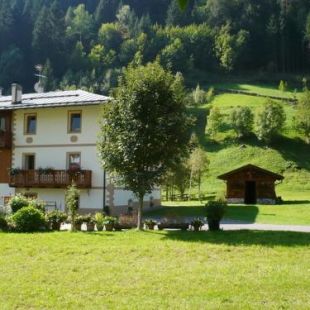 Фотография мини отеля B&B Il Sorriso Dei Nonni