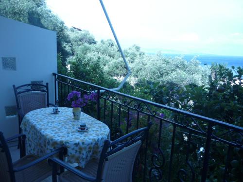 Фотография гостевого дома Butterfly Barbati apartments