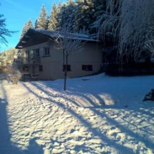 Фотографии гостевого дома 
            Maison de 4 chambres avec jardin clos et wifi a Xonrupt Longemer a 5 km des pistes