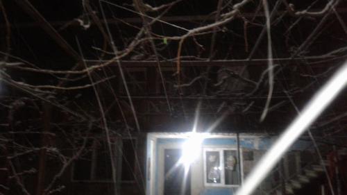 Фотография мини отеля Granny's house