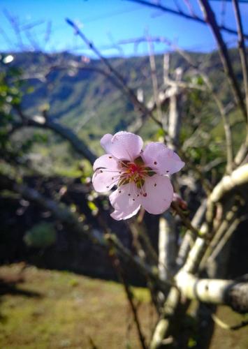 Фотографии гостевого дома 
            Gite etape chez Paule et jo