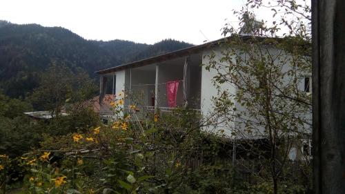 Фотография гостевого дома Цагвери