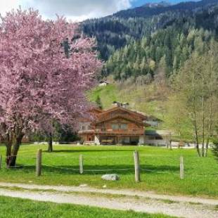 Фотографии гостиницы 
            Hotel Maso del Brenta