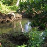 Фотография гостиницы Piscina Natural on the Sea