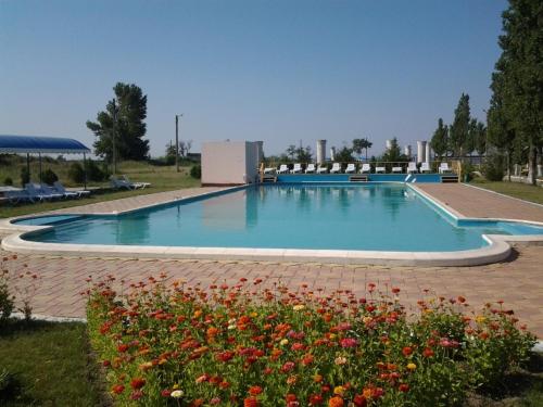 Фотография гостиницы Скифос