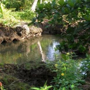 Фотографии гостиницы 
            Piscina Natural on the Sea