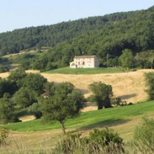 Фотография гостевого дома Casale Le Fontanelle