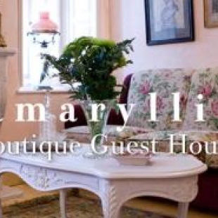 Фотография гостевого дома Amaryllis Boutique Guest House