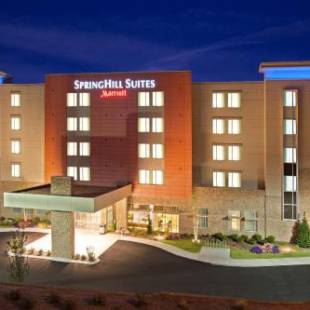 Фотографии гостиницы 
            SpringHill Suites by Marriott Downtown Chattanooga/Cameron Harbor