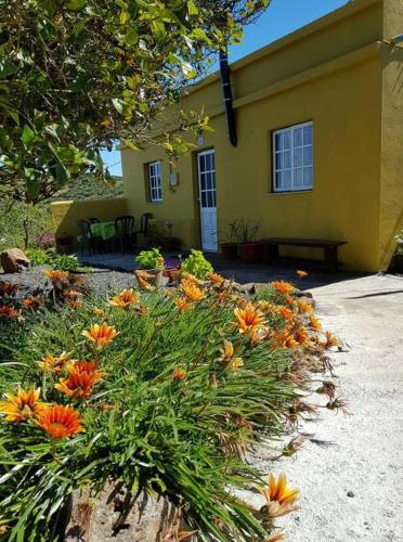 Фотография гостевого дома El Limonero