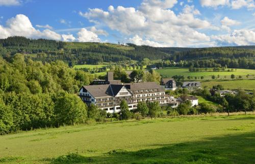 Фотография гостиницы Sauerland Alpin Hotel