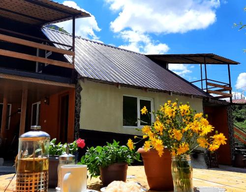 Фотография гостевого дома Kesane