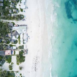 Фотографии гостиницы 
            Coco Tulum Zen Zone Hotel