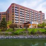 Фотография гостиницы Sheraton Lisle Naperville Hotel