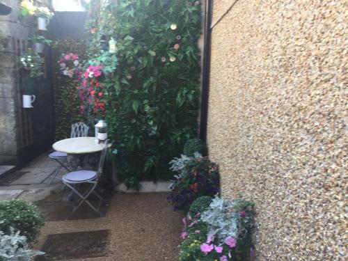 Фотография гостевого дома Oh So Snug