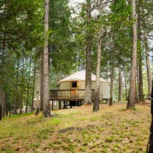 Фотографии базы отдыха 
            Yosemite Lakes Hillside Yurt 5