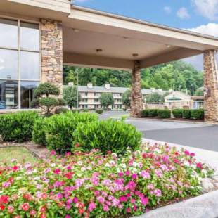 Фотографии гостиницы 
            Quality Inn & Suites at Dollywood Lane