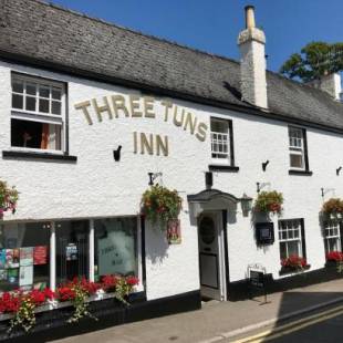 Фотографии мини отеля 
            The Three Tuns