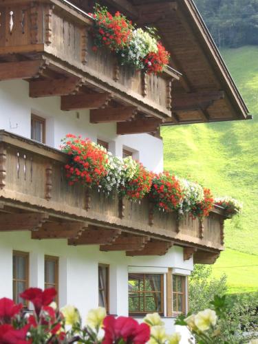 Фотография базы отдыха Lexhof