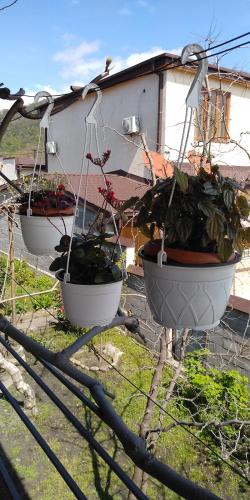 Фотография гостевого дома LeoSani