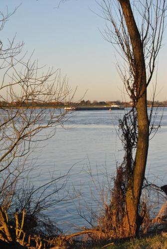 Фотография гостиницы Achilleon III