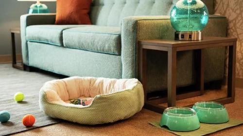 Фотография гостиницы Home2 Suites By Hilton Grand Rapids North