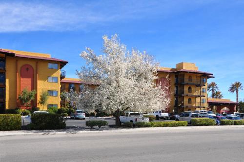 Фотография гостиницы Oxford Suites Lancaster