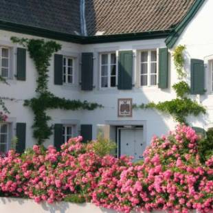 Фотографии гостевого дома 
            Rhein River Guesthouse - Art Hotel on the Rhine