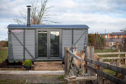 Фотография базы отдыха Skipbridge Farm Glamping