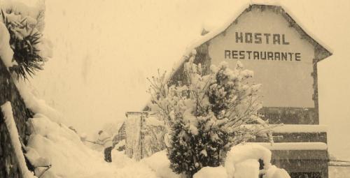 Фотографии хостела 
            Hostal Restaurante Asador Pañart