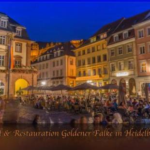 Фотографии гостиницы 
            Hotel Goldener Falke