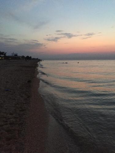 Фотографии гостевого дома 
            Azov Beach