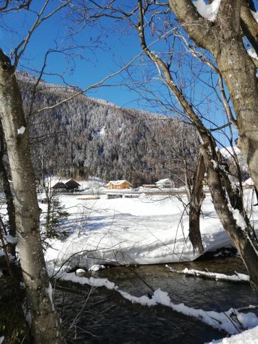 Фотография гостевого дома Houghton Haus