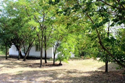 Фотография гостевого дома Лесная рыболовно-охотничья заимка