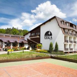 Фотографии гостиницы 
            Hotel Vega Luhacovice