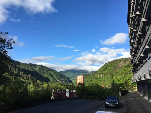 Фотографии гостиницы 
            Hotel Tbilisi In Borjomi