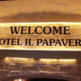 Фотографии гостиницы 
            Hotel Il Papavero