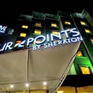 Фотографии гостиницы 
            Four Points by Sheraton Vadodara