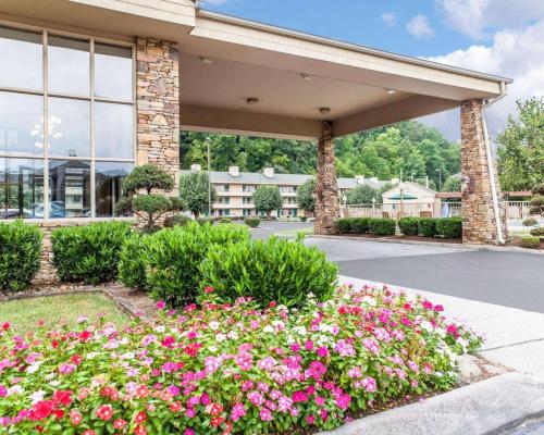 Фотография гостиницы Quality Inn & Suites at Dollywood Lane