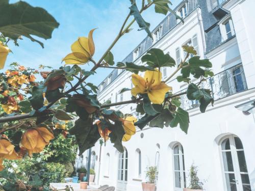 Фотография гостевого дома Les Tilleuls Etretat