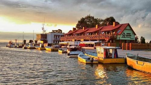 Фотография гостевого дома Pokoje Gościnne Zielony Dom
